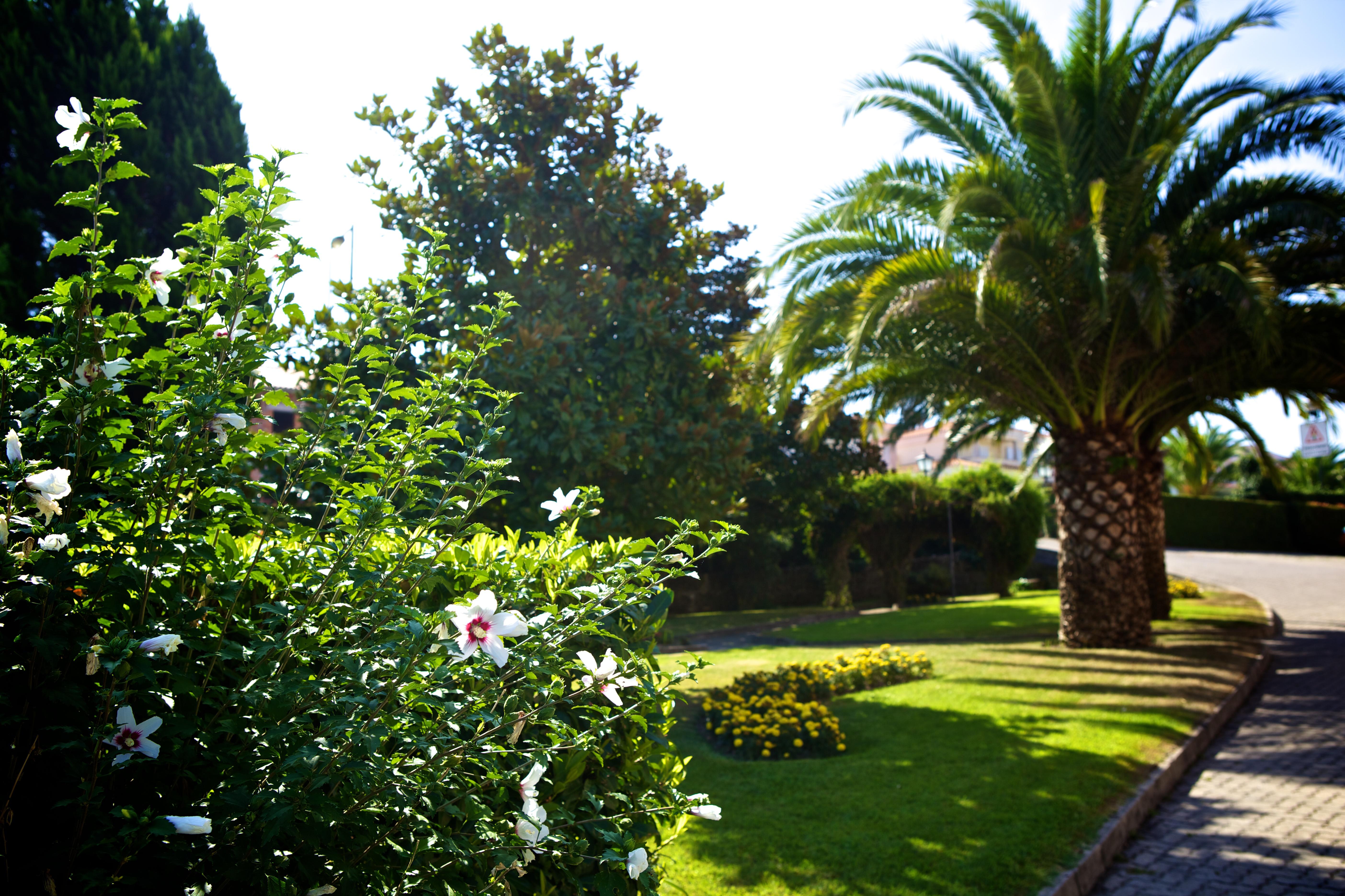 Hotel Sj Tondela Kültér fotó